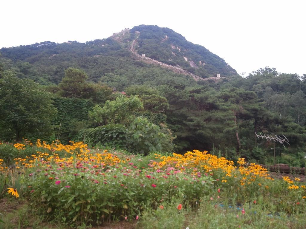 Guest house The Kims *